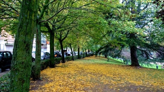 thumbnail_DSC_0412