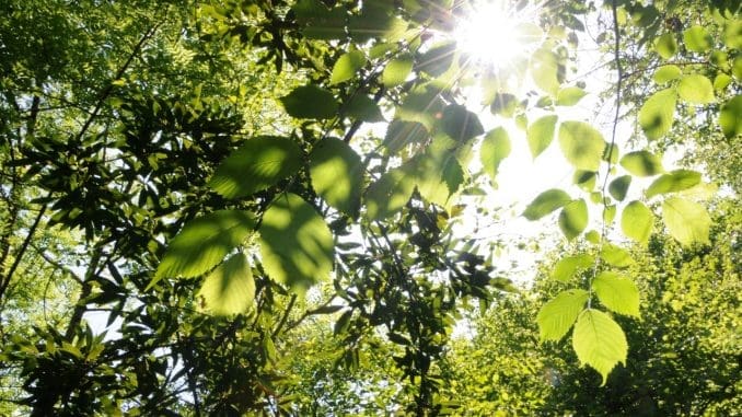 thumbnail_DSC_5356